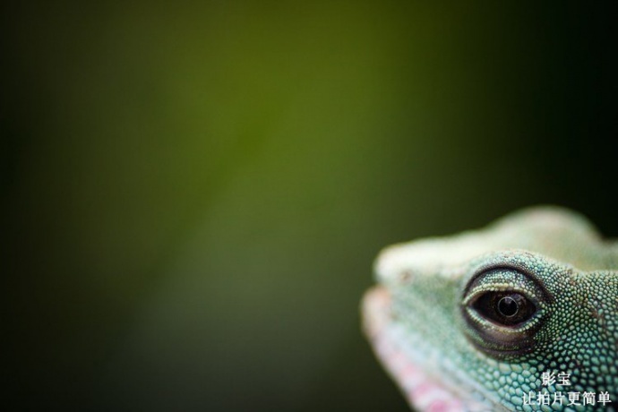 什么样的镜头才是你最需要的？