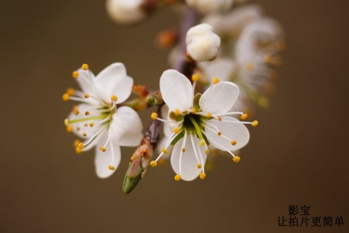 什么样的镜头才是你最需要的？