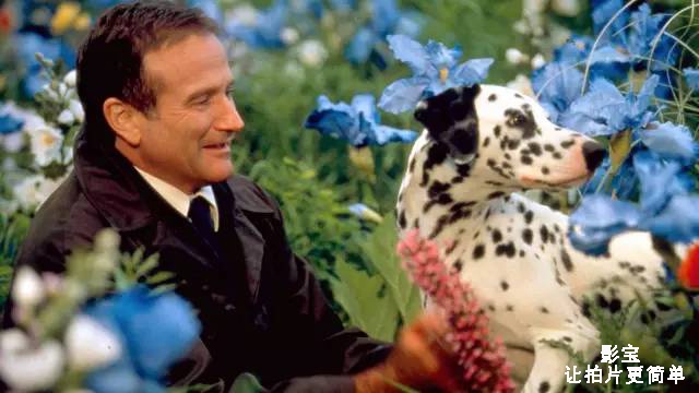 一部电影究竟可以有多“色”？