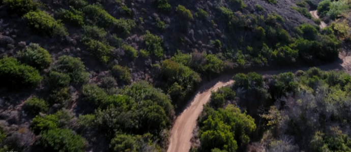 如何遇见你，在我最美丽的时刻