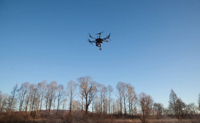 如何遇见你，在我最美丽的时刻