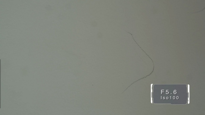 （长文多图）数码异次元 特辑：老蛙微距镜头评测