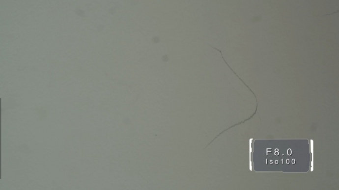 （长文多图）数码异次元 特辑：老蛙微距镜头评测