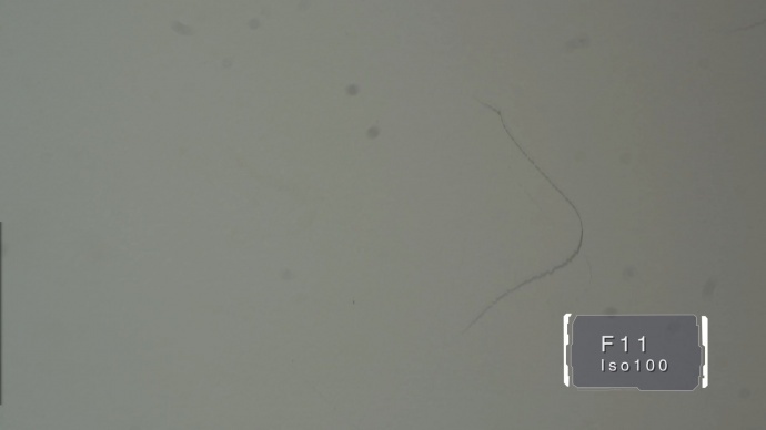 （长文多图）数码异次元 特辑：老蛙微距镜头评测