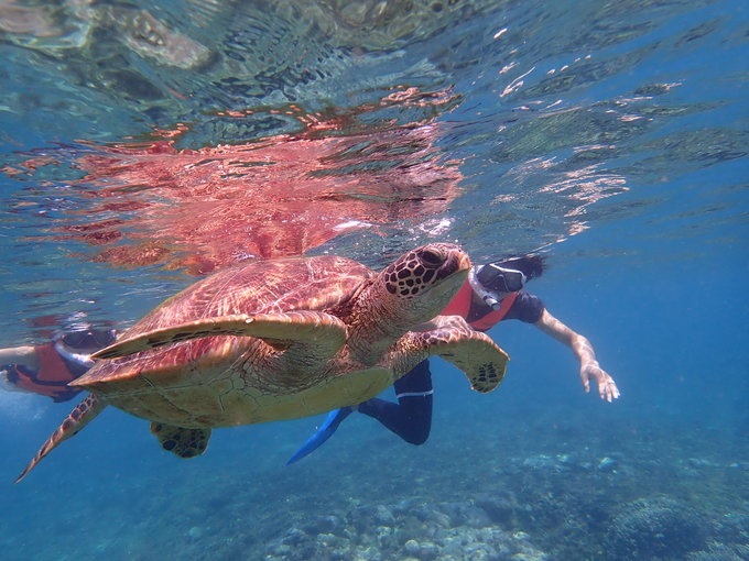 奥林巴斯tg5水下体验—杜马盖地+薄荷岛7日浮潜游