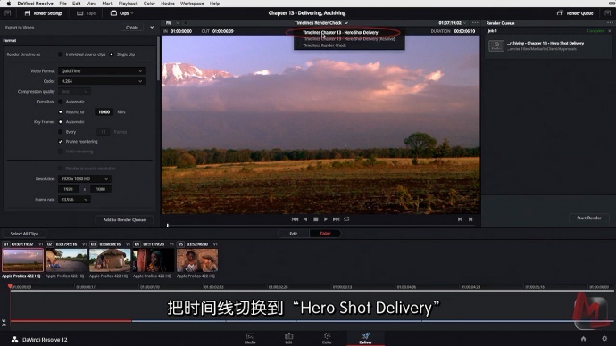 Gaiamount达芬奇教程重磅上线--完结篇