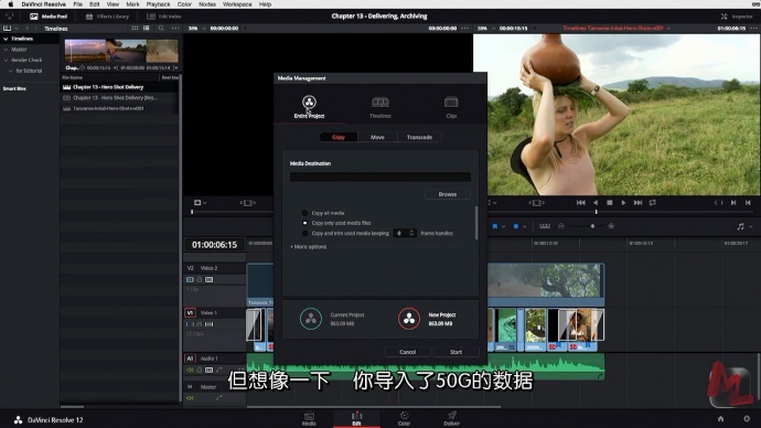 Gaiamount达芬奇教程重磅上线--完结篇