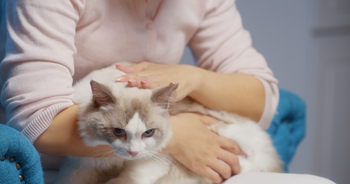 腾讯猫片《说好的暑假呢》调色分享