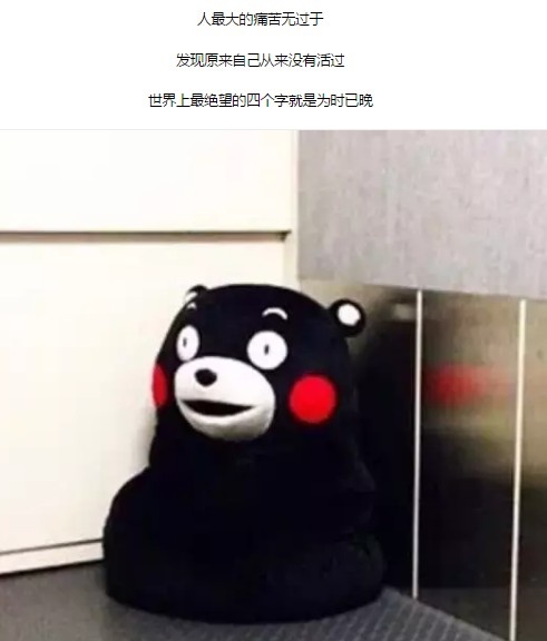 人最难得不过是一颗年轻的心，在浮躁的世界里如何拥有初心