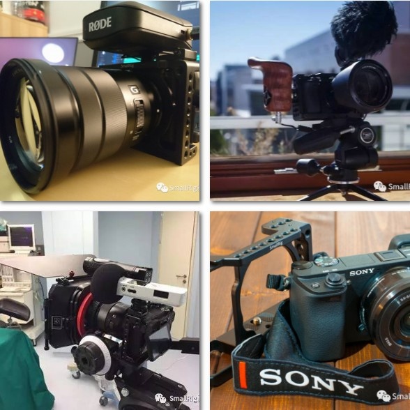 人最难得不过是一颗年轻的心，在浮躁的世界里如何拥有初心