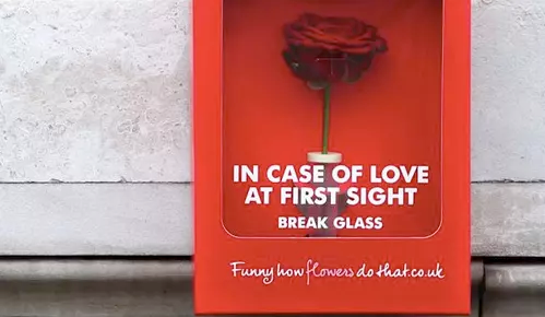 广州七夕活动策划加强版又双叒叕来袭