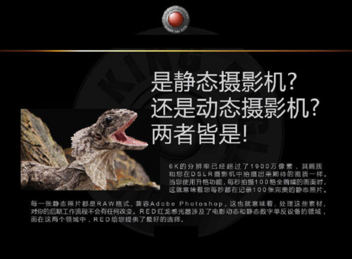 【二手】红龙 EPIC DRAGON 你值得拥有