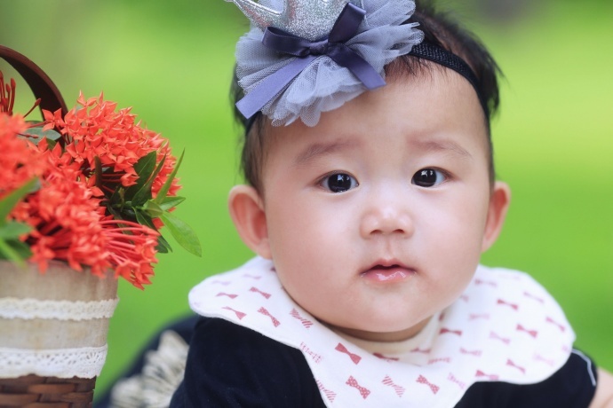 可爱宝宝与萌狗狗