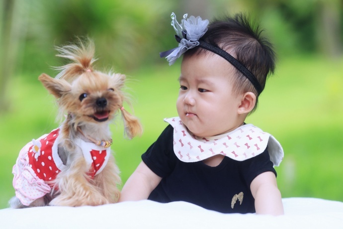 可爱宝宝与萌狗狗