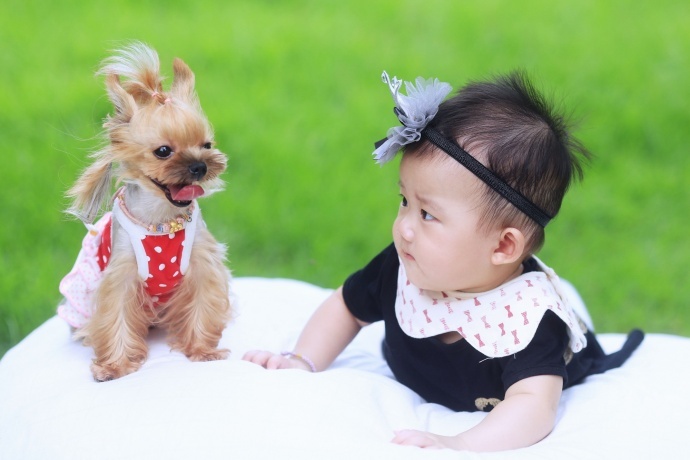 可爱宝宝与萌狗狗