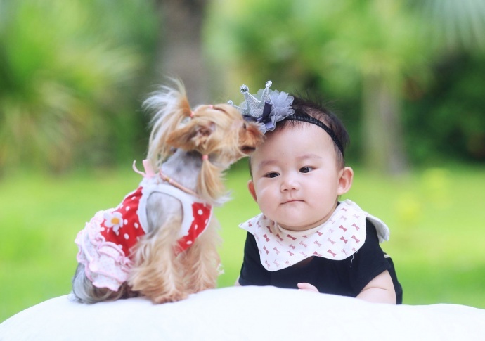 可爱宝宝与萌狗狗