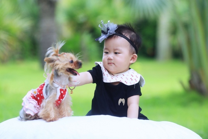 可爱宝宝与萌狗狗