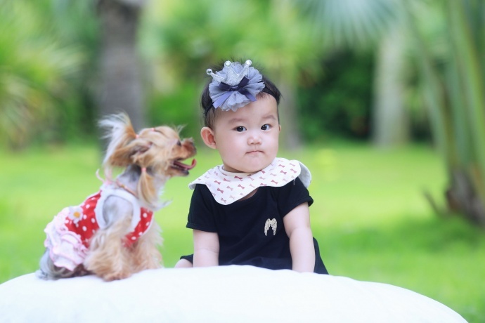 可爱宝宝与萌狗狗