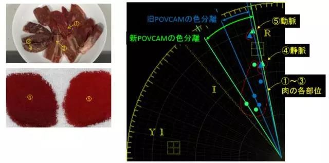 小身材大有作为！新POVCAM产品拍摄应用