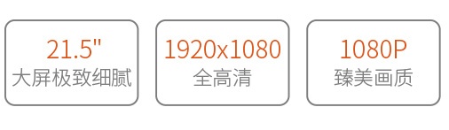 视瑞特P215-9DSW 21.5寸IPS屏全高清1920*1080 双路3G-SDI输入输出 带波形图矢量图直方图专业级摄影摄像导演监视器