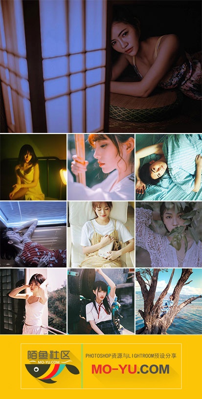 土司大象的摄影课堂复古人像调色lr预设