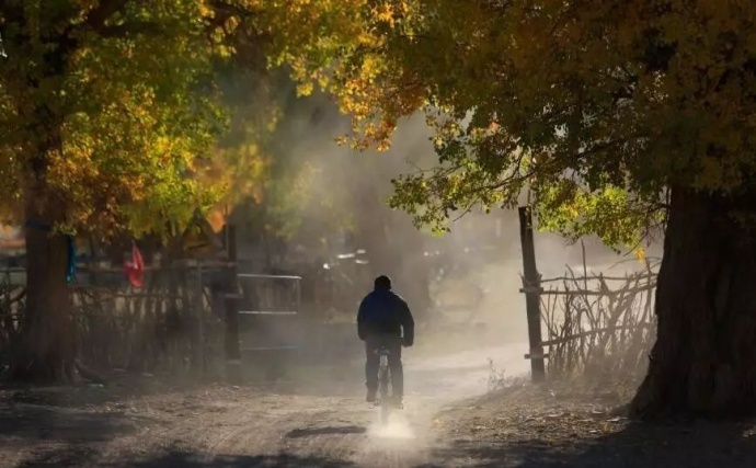 如何跳出拍胡杨的框框？这个秋季，你会怎么拍？