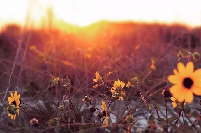 拍照片出现眩光怎么办？比肩兄弟带你解决