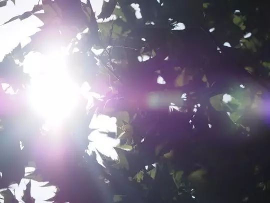 拍照片出现眩光怎么办？比肩兄弟带你解决