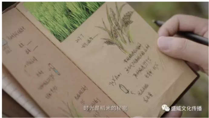 我们非常用心的拍了一支广告