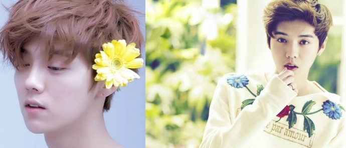 《坏蛋先生3》揭秘鹿晗私生子，关晓彤抱着枕头哭