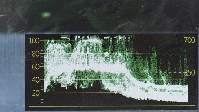 LH5s亮度示波器升级通知