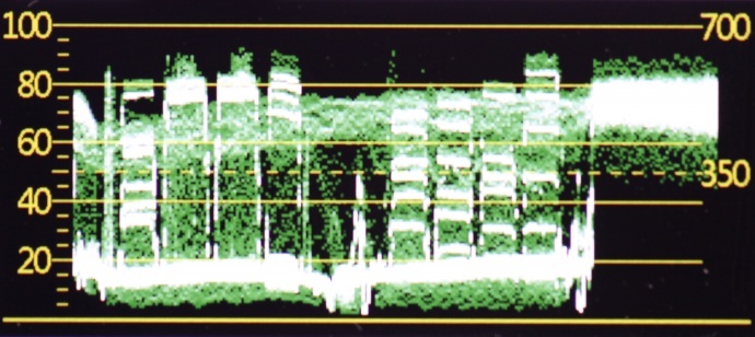 LH5s亮度示波器升级通知