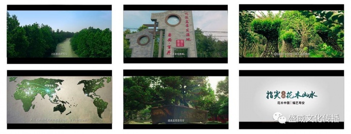 你的企业和高逼格只差一步！