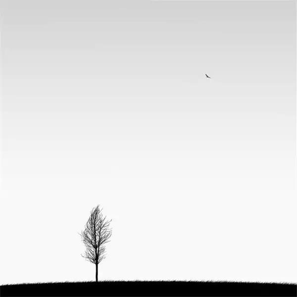 手机拍出单反范儿，有这10招就够！