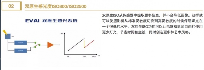 买EVA1的理由很简单——高性价比让我心动