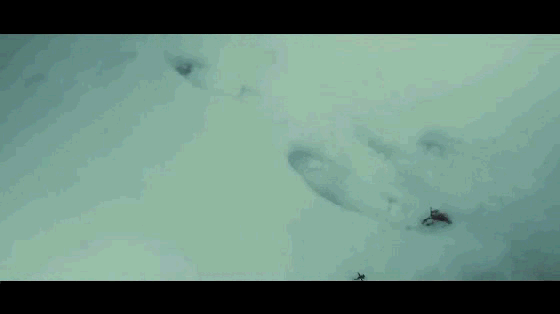 首款无限续航稳定器MOZA AirCross官方宣传片发布