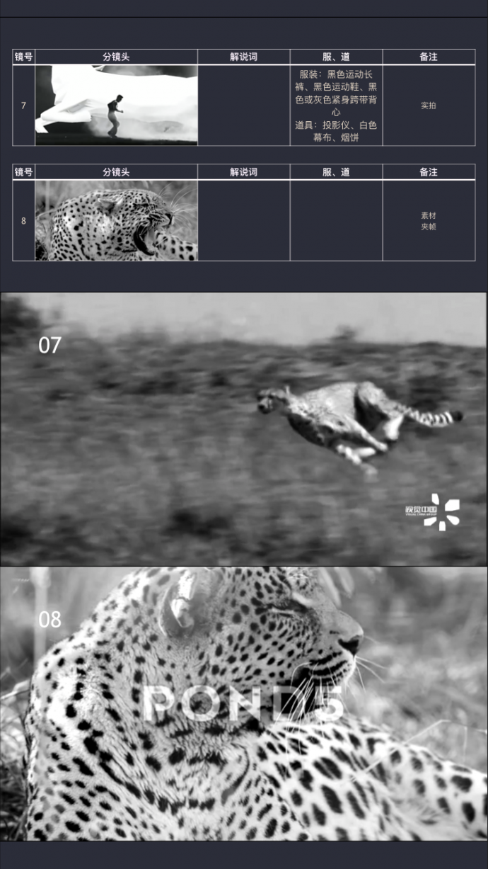 豹子,麻绳,肉,能成一个片子