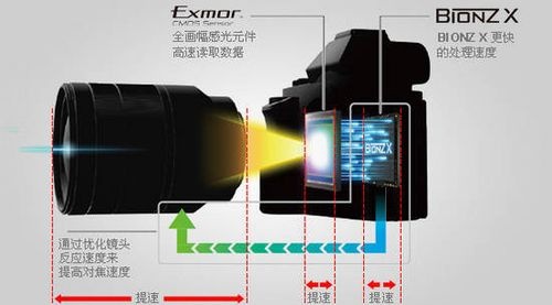 手机拍的那么清晰,为什么要用单反拍摄?