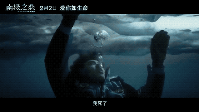 6台RED穿越极寒之地，打造首部《南极之恋》