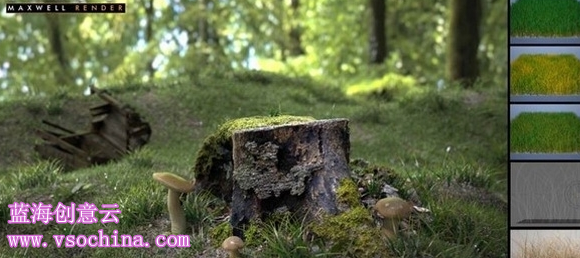 Maxwell渲染引擎的实力怎么样蓝海创意云
