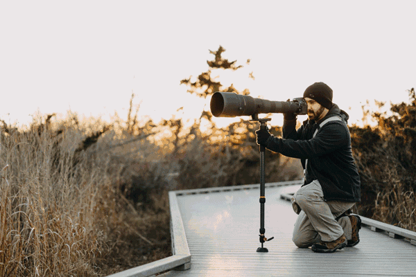 天芬让人意外的新品--Steadicam Air