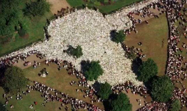 这些老照片，穿过岁月的河流，如今依然惊艳着我们