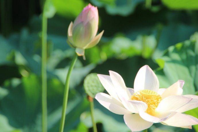 夏日“影”动派：享受夏日刺激新体验