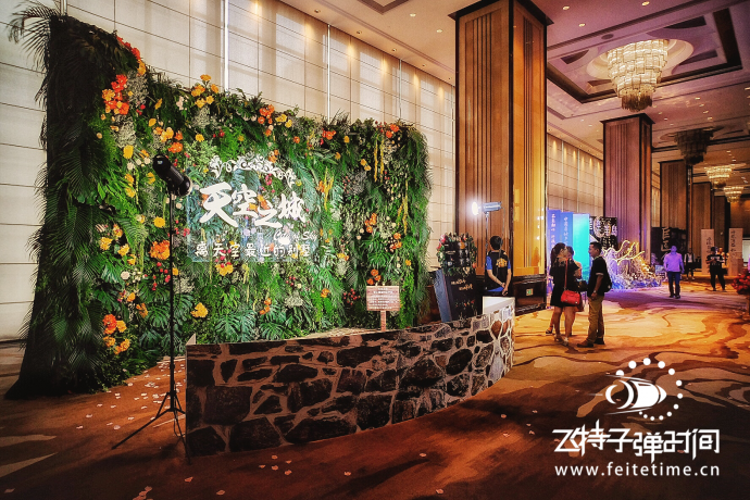 星空下的飞特子弹时间活动