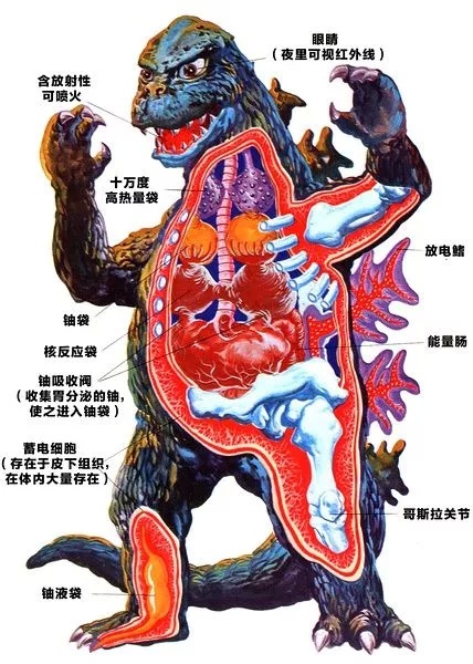 30张图带你解读日本最受欢迎的怪兽