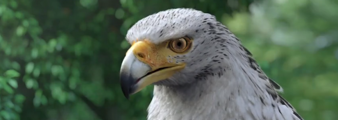 专访 | 《风语咒》导演刘阔：经历几多风雨，才有可能成功