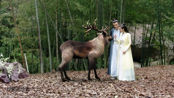 热播剧《扶摇》视效专访丨CG生物写实化，让特效回归剧情