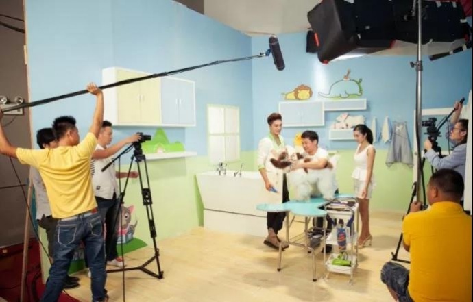 力高传媒细剖宣传片片头开篇之提出问题