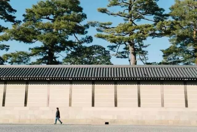 学会对比构图，让拍出的照片更有感觉！