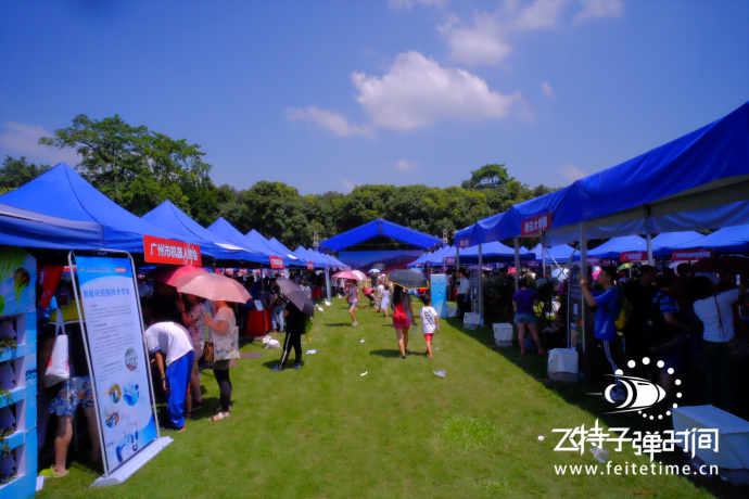 创新引领时代，智慧点亮生活#飞特子弹时间活动#